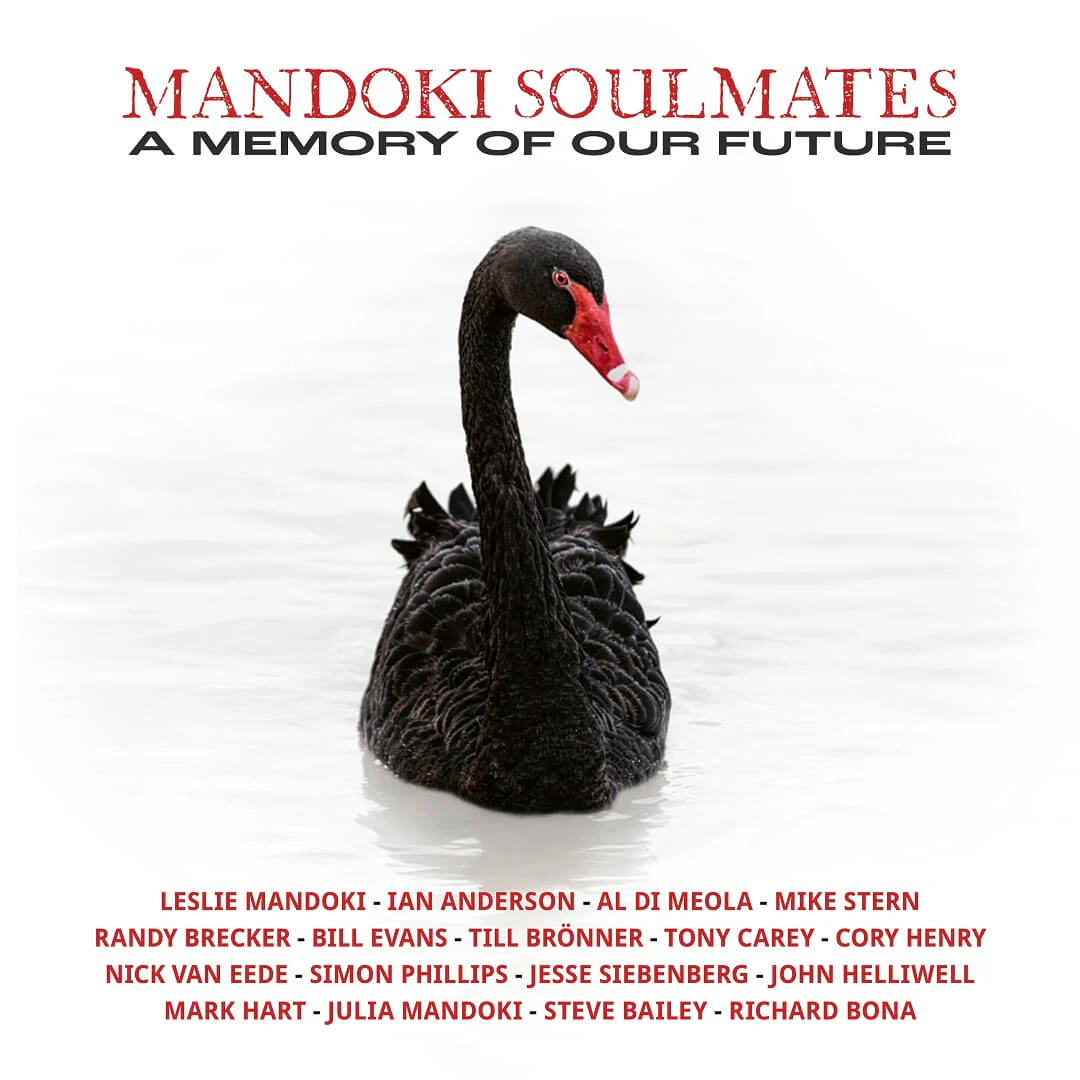 Mandoki Soulmates Gatefold black 2LP & LP-Booklet