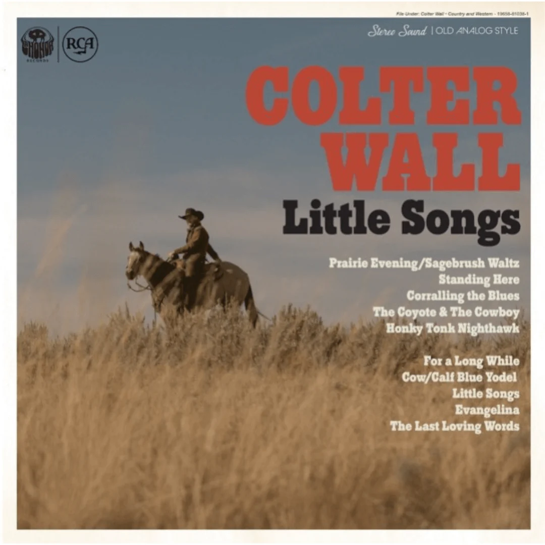 Little Songs Vinilo