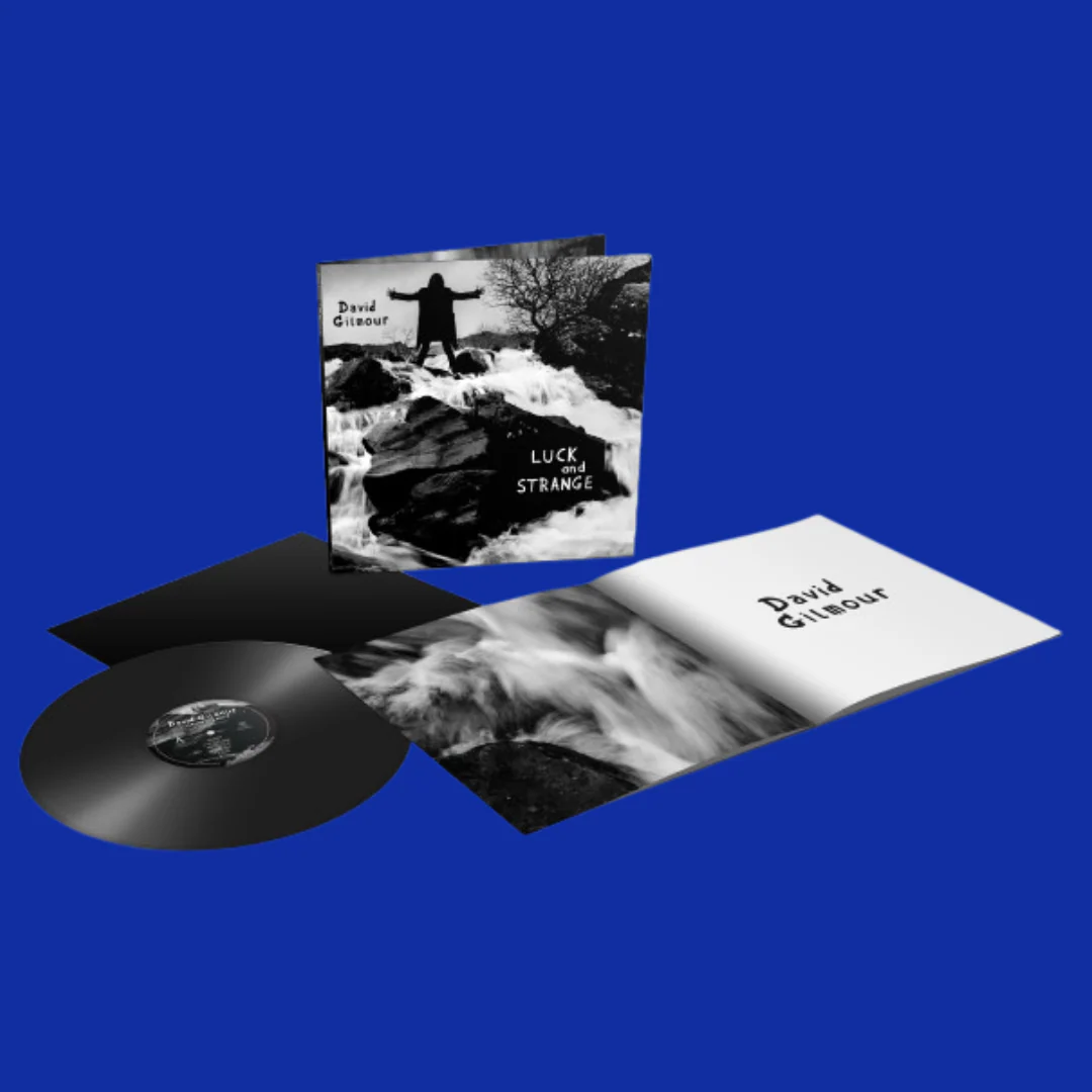 Luck and Strange Vinilo