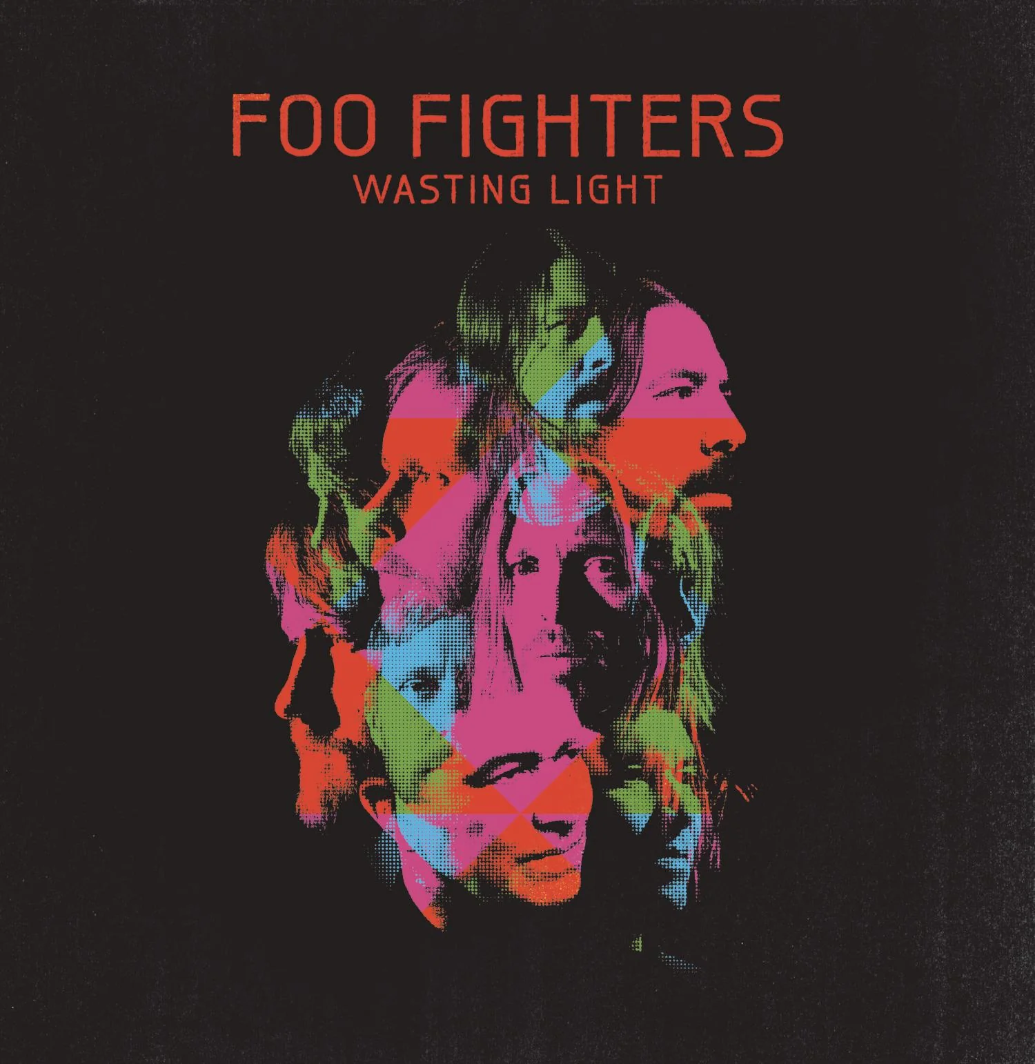 WASTING LIGHT (VINILO)