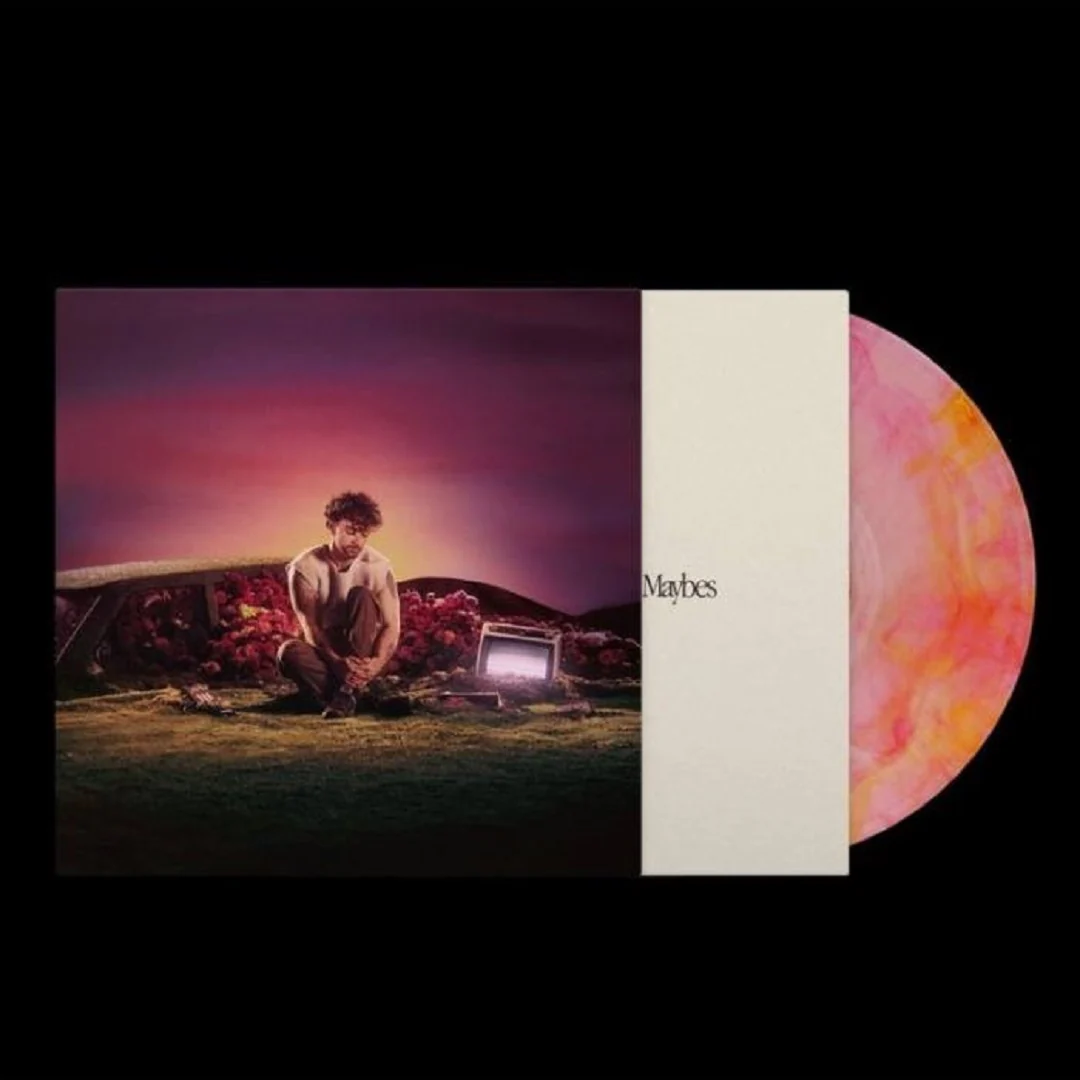 What Ifs & Maybes LP marmolado rosa